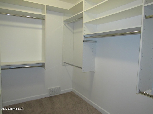 3542 Marcia Louise Dr, Southaven, MS 38672 - spacious closet with carpet