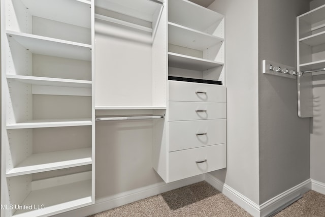 walk in closet featuring carpet flooring