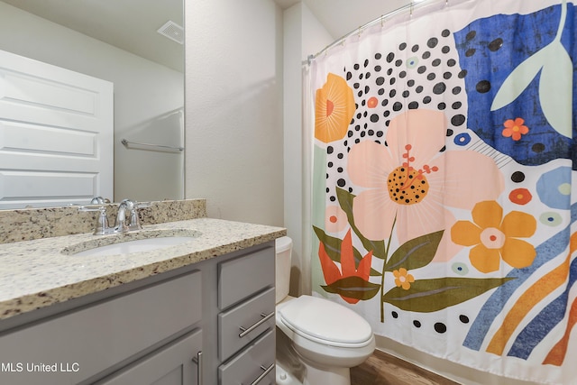 bathroom with vanity, toilet, and wood-type flooring