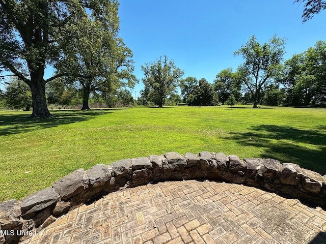 5228 Old Hwy 49, Clarksdale, MS 38614 - view of green lawn