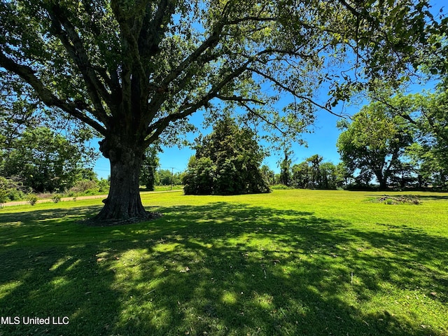 5228 Old Hwy 49, Clarksdale, MS 38614 - view of green lawn