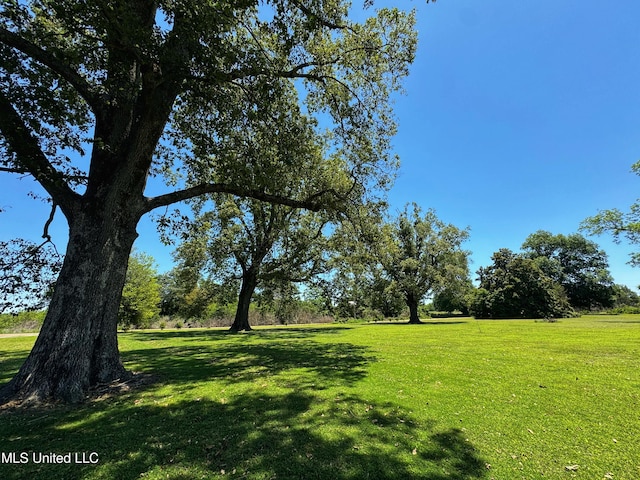 5228 Old Hwy 49, Clarksdale, MS 38614 - view of green lawn