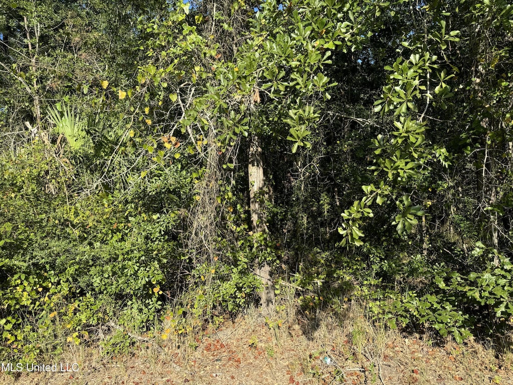 Garfield St, Bay Saint Louis, MS 39520
