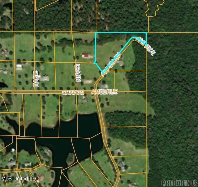 TBD Anastatsia Dr, Carriere MS, 39426 land for sale