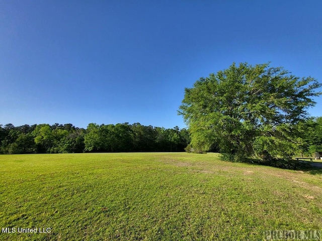 Listing photo 3 for TBD Anastatsia Dr, Carriere MS 39426