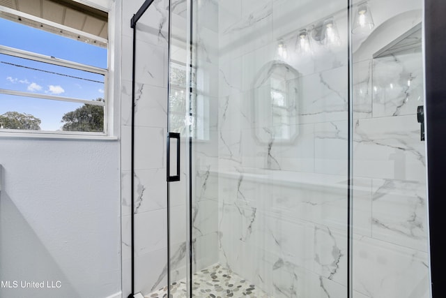 bathroom featuring a shower with shower door