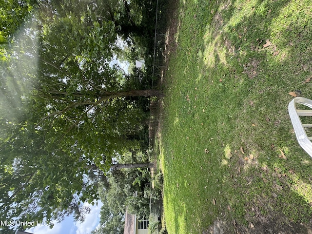 104 Brooklyn Dr, Natchez, MS 39120 - view of yard