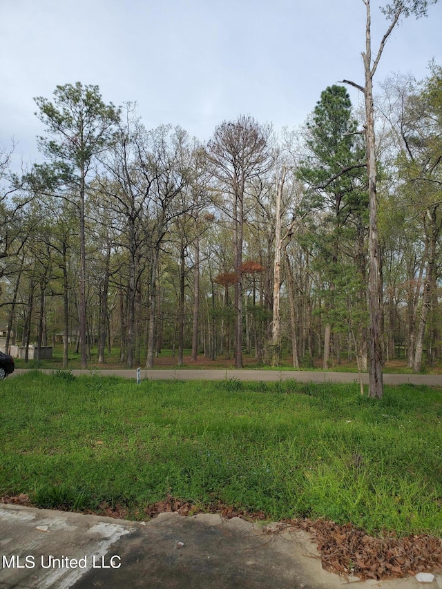 111 Holly Trl, Brandon MS, 39047 land for sale