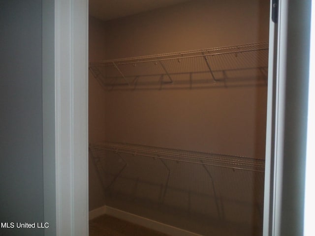 view of walk in closet