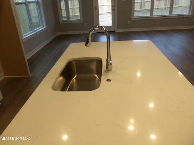 room details featuring sink and dark hardwood / wood-style floors