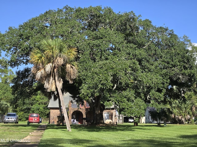 exterior space featuring a lawn