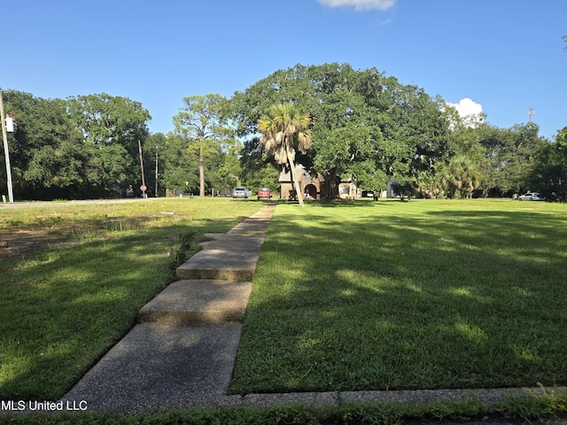 view of community with a yard