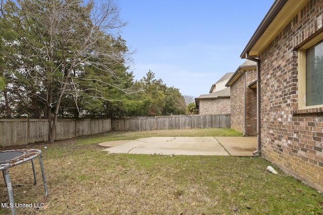 view of yard with a patio