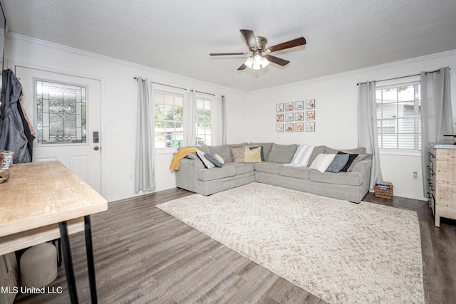 living room with a ceiling fan, a wealth of natural light, ornamental molding, and dark wood-style floors