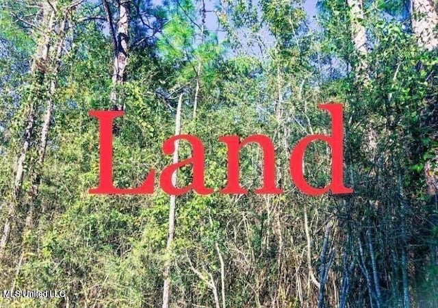 21st Ave, Bay Saint Louis MS, 39520 land for sale