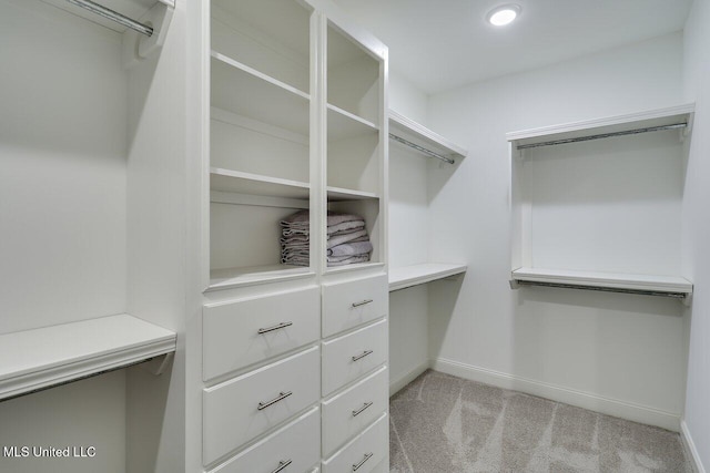 953 Glenwild Cir, Canton, MS 39046 - walk in closet with light colored carpet