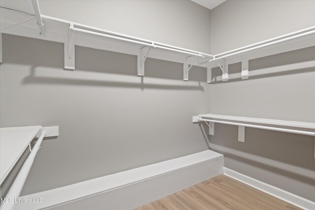 walk in closet with wood-type flooring