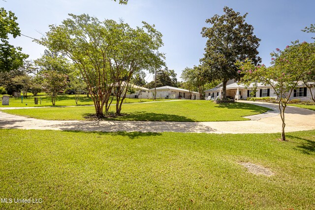 view of property's community featuring a lawn