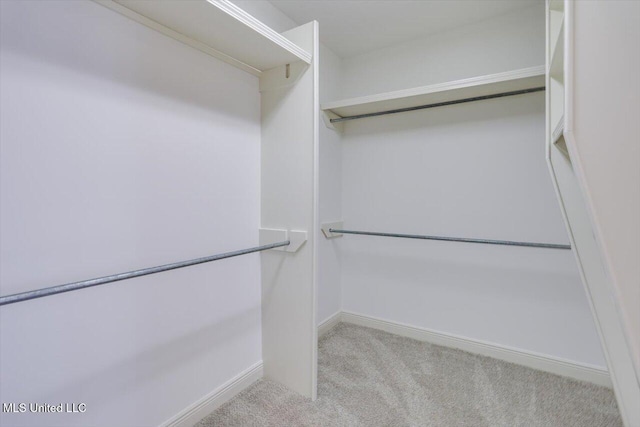 spacious closet featuring light carpet