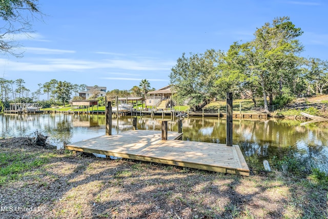 dock area with a water view