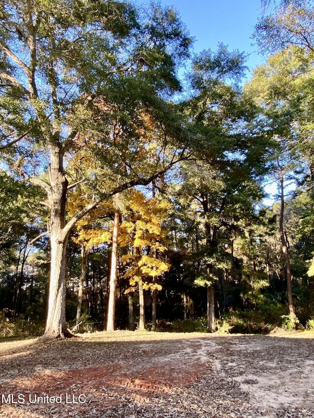 view of landscape