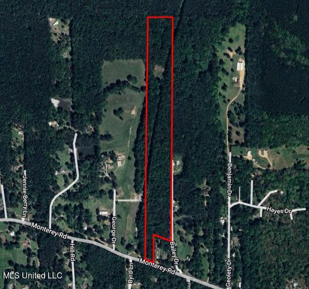 20ACRES Monterey Rd, Pearl MS, 39208 land for sale