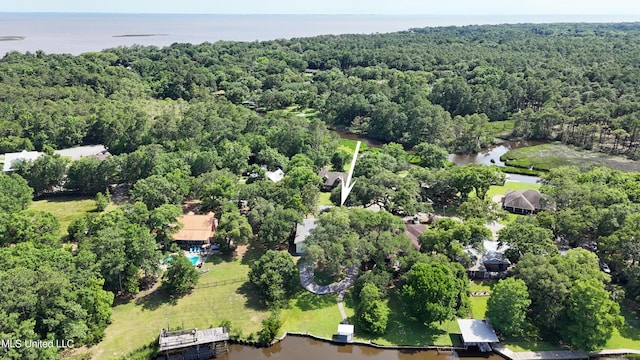 2508 Orrell Dr, Gautier, MS 39553 - view of property location with a forest and a large body of water