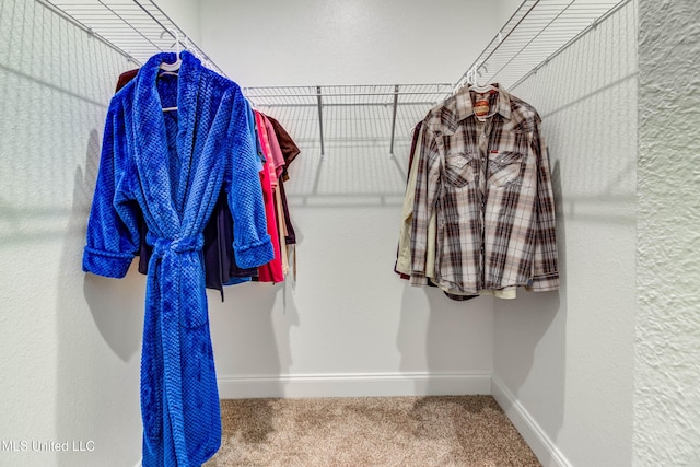 spacious closet featuring carpet flooring