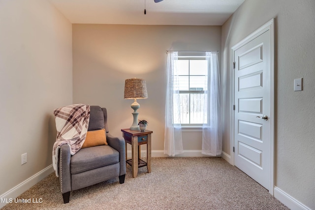 sitting room with carpet