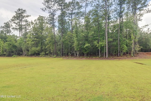 87139 Highpoint Dr, Diamondhead, MS 39525 - view of yard
