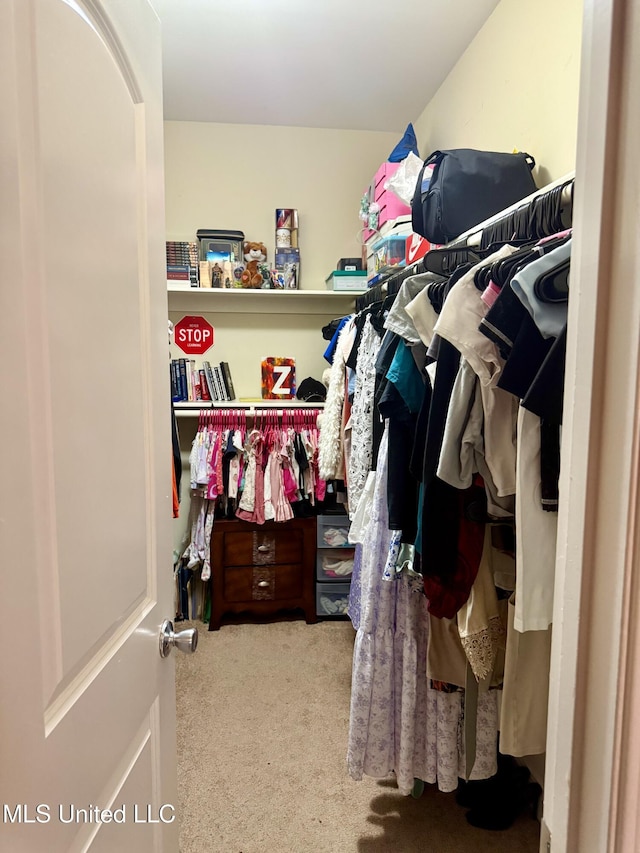 6088 E Hinds St, Bay Saint Louis, MS 39520 - spacious closet with carpet