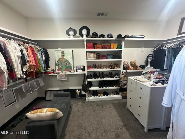 spacious closet with dark colored carpet