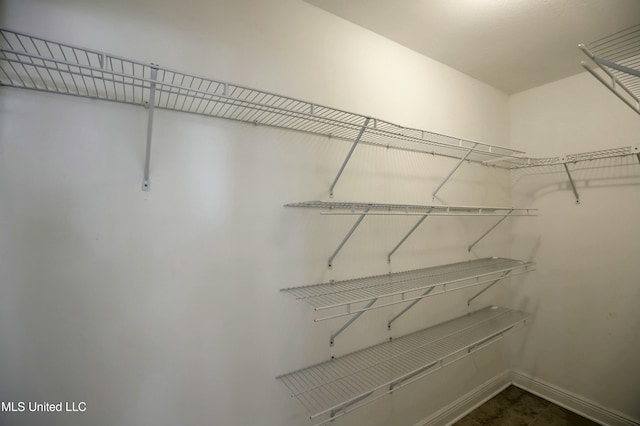 view of walk in closet