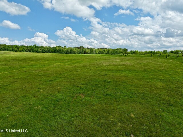Sandy Ln, Flora, MS 39071