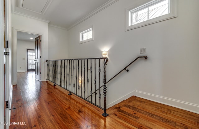 stairs with hardwood / wood-style flooring, ornamental molding, and a healthy amount of sunlight