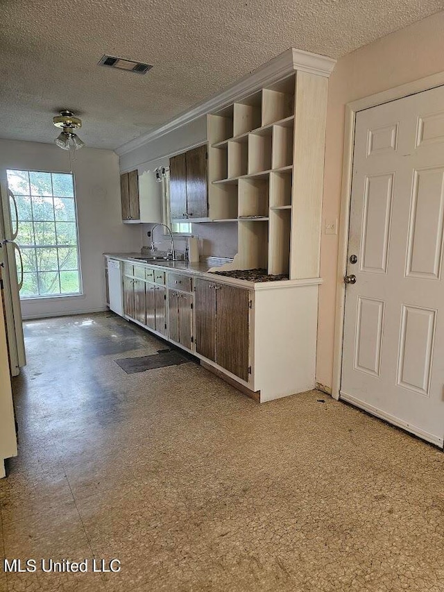 kitchen featuring dishwasher, sink, a textured ceiling, and ceiling fan