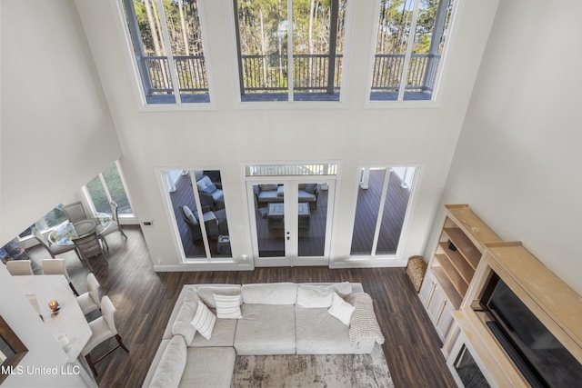 living room featuring dark wood-type flooring and a high ceiling