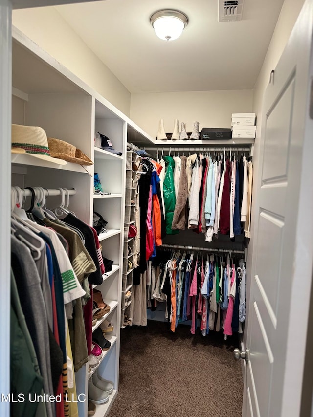 walk in closet featuring carpet