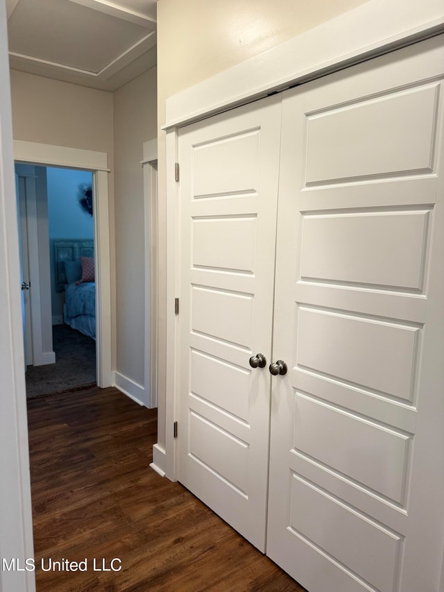 corridor featuring dark hardwood / wood-style flooring