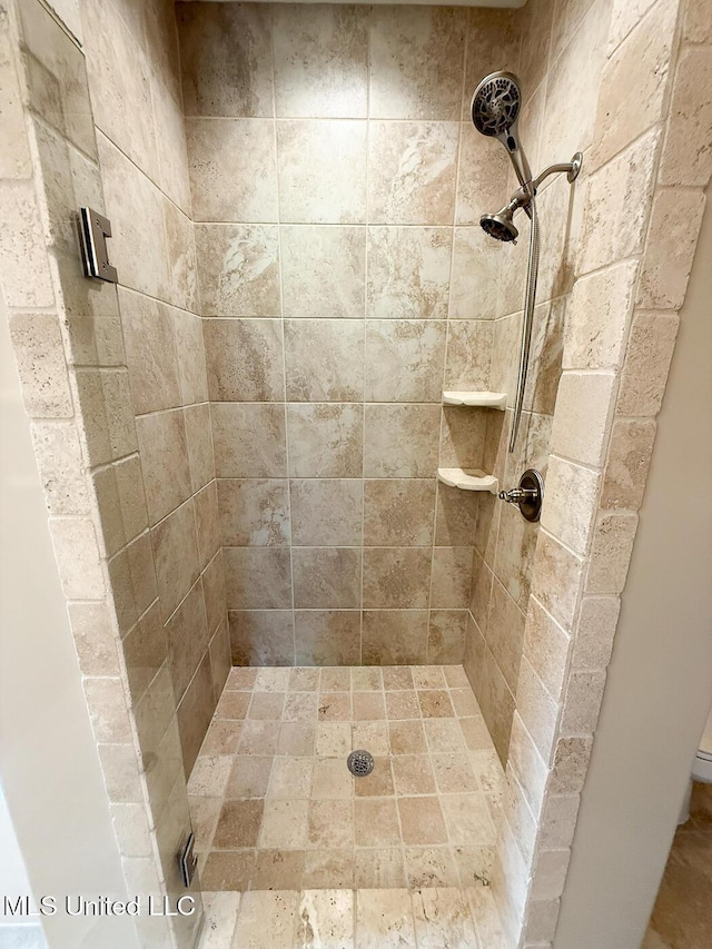 3041 Brambleberry Cv, Southaven, MS 38672 - bathroom featuring a tile shower