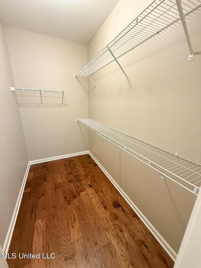 3041 Brambleberry Cv, Southaven, MS 38672 - spacious closet with wood finished floors
