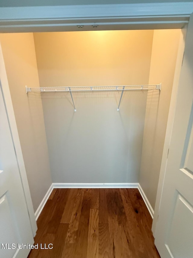 3041 Brambleberry Cv, Southaven, MS 38672 - spacious closet with dark wood-style floors