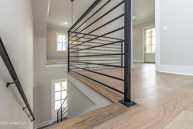 stairs featuring wood-type flooring, crown molding, and plenty of natural light