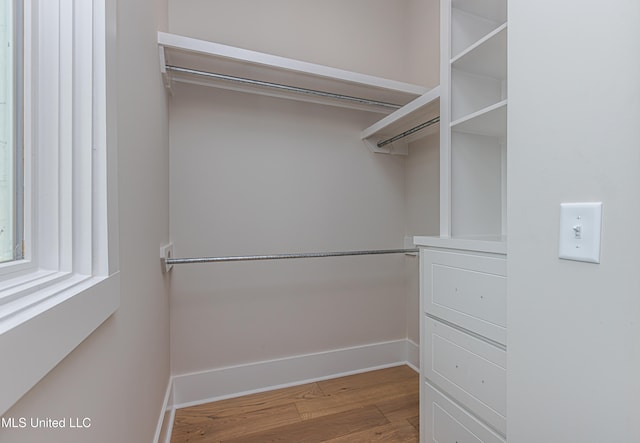 spacious closet with wood-type flooring