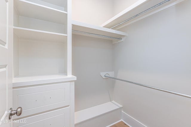 view of spacious closet