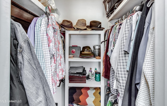 218 Harbor Ln, Brandon, MS 39047 - view of walk in closet