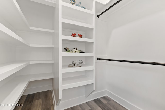 spacious closet featuring dark wood-type flooring