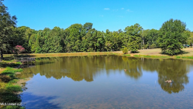 view of water feature