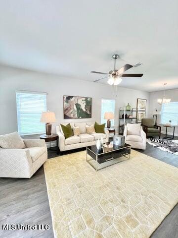 living room with wood-type flooring, ceiling fan with notable chandelier, and a healthy amount of sunlight