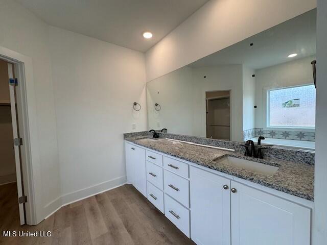 bathroom featuring hardwood / wood-style flooring and vanity